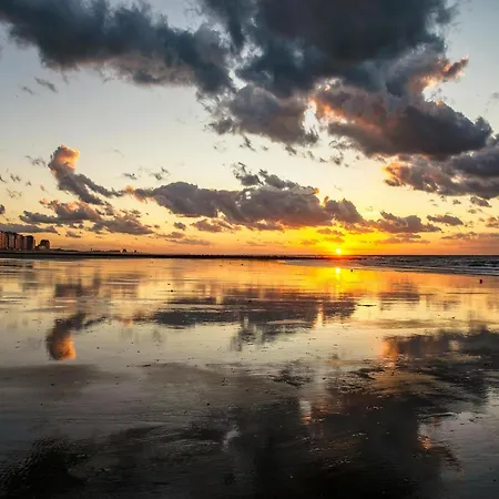 Beachfront In For 6 Appartement *