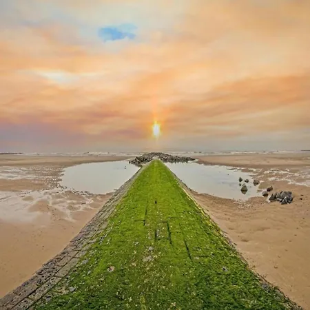 Beachfront In For 6 Διαμέρισμα Middelkerke
